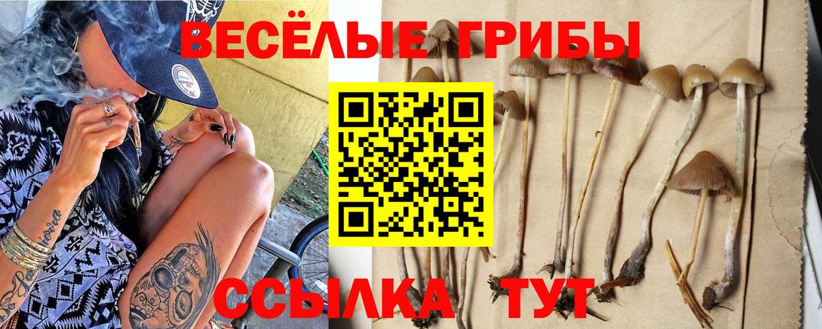 Псилоцибиновые грибы GOLDEN TEACHER  Вход с VPN  Галлюциногенные грибы MAGIC MUSHROOMS  Джанкой 